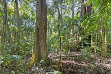 Property 28a Geissmann Street, TAMBORINE MOUNTAIN QLD 4272 IMAGE 0