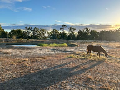 Property 245 Styx Road, OGMORE QLD 4706 IMAGE 0