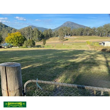 Property 19 Easton St, Bundook NSW 2422 IMAGE 0