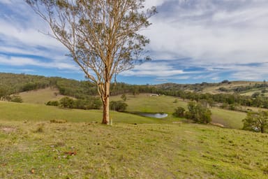 Property 1712 Stroud Hill Road, Dungog NSW 2420 IMAGE 0