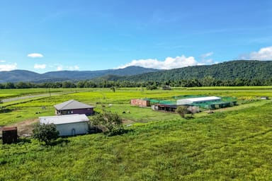 Property 706 Pine Creek Road, Green Hill QLD 4865 IMAGE 0