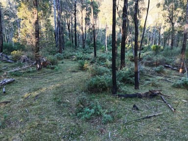 Property Lot Lot C, 650 Yankees Gap Road, BEMBOKA NSW 2550 IMAGE 0