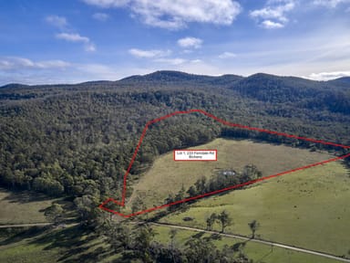 Property Lot 1, 233 Ferndale Road, BICHENO TAS 7215 IMAGE 0