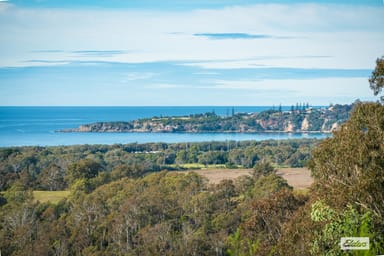 Property 3 Goats Knob Road, Chinnock NSW 2550 IMAGE 0