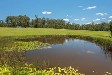 Property Lot 2 Upper Smiths Creek Road, KUNDABUNG NSW 2441 IMAGE 0