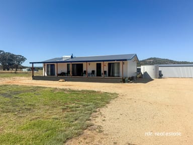 Property Lot 103, 1986 Pindari Dam Road, Ashford NSW 2361 IMAGE 0