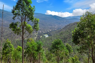 Property Lot 43 Bulldog Road, Bulldog NSW 2469 IMAGE 0