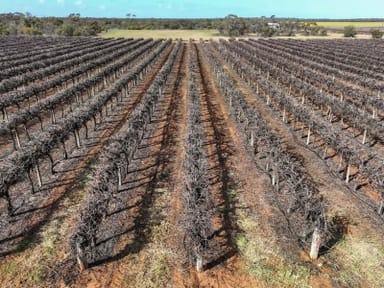 Property Section 862 Swinstead Road, Loveday SA 5345 IMAGE 0