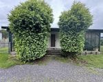 Property 1, 19 George Street, Somerset TAS 7322 IMAGE 0