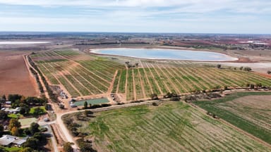 Property 152 White Road, Woorinen North VIC 3589 IMAGE 0