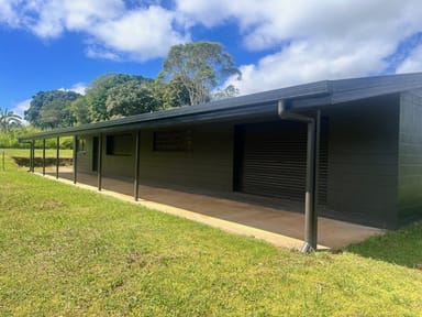Property 86 Theresa Creek Road, MILLAA MILLAA QLD 4886 IMAGE 0
