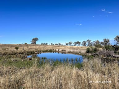 Property Lot 74 Wells Crossing Road, Ashford NSW 2361 IMAGE 0