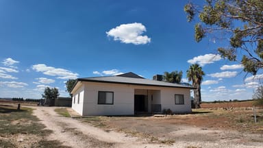 Property 14 Ireland Road, Bilbul NSW 2680 IMAGE 0