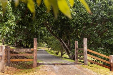 Property 153 Jones Road, Brookfield QLD 4069 IMAGE 0