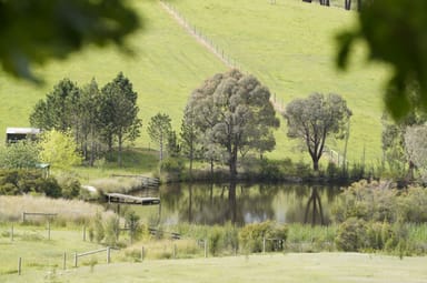 Property 45 Connors Lane, SEVILLE VIC 3139 IMAGE 0