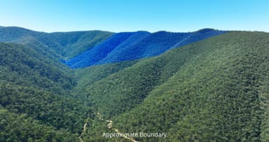 Property CA 9 Sec 20 Wonnangatta Road, Dargo VIC 3862 IMAGE 0