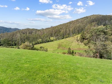 Property Lot 1 Forest Lodge Road, PYENGANA TAS 7216 IMAGE 0