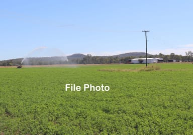 Property 244 A Creek Road, Eidsvold QLD 4627 IMAGE 0