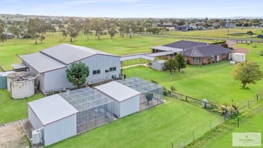 Property 6 Warwick Road, Tamworth NSW 2340 IMAGE 0