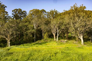 Property 108, 265 Martin Road, LARNOOK NSW 2480 IMAGE 0