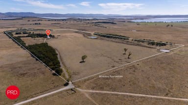 Property 137 Leahys Lane, Lake Bathurst NSW 2580 IMAGE 0