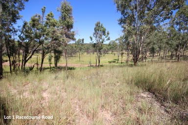 Property 0 Radio Station Road & Racecourse Road, EIDSVOLD QLD 4627 IMAGE 0