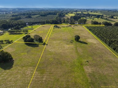 Property Lot 2, 884428/251 Rous Road, ROUS NSW 2477 IMAGE 0