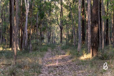 Property Lot 91 & Lot 92 Kirkton Road, Lower Belford NSW 2335 IMAGE 0