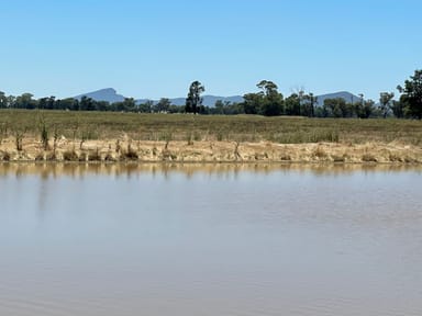 Property 195 Broughtons Lane, Yerong Creek NSW 2642 IMAGE 0