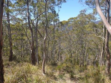 Property Lot 9 Bull Oak Way, GROVE TAS 7109 IMAGE 0