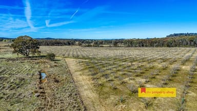 Property Lot 77/369 Montaza Road, Gulgong NSW 2852 IMAGE 0