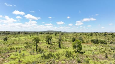 Property "Green Yards" Scotts Road, Theodore QLD 4719 IMAGE 0