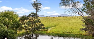 Property 111 Terlichs Rd, Verona NSW 2550 IMAGE 0