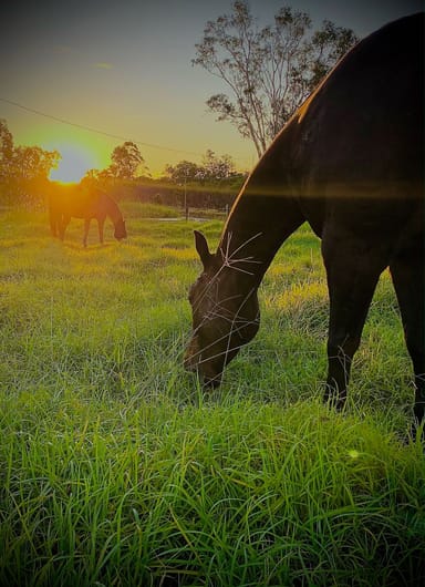 Property 32 Tableland Road, SUNSHINE ACRES QLD 4655 IMAGE 0