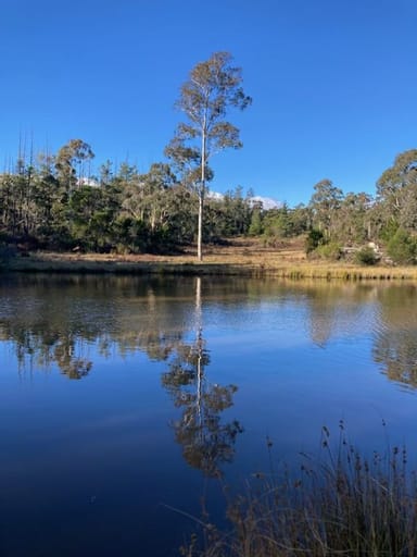 Property 348 Brookvale Lane, BRAIDWOOD NSW 2622 IMAGE 0