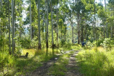 Property 146 Mills Road, Bean Creek NSW 2469 IMAGE 0