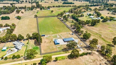 Property 61 Nicholsons Road, Toongabbie VIC 3856 IMAGE 0
