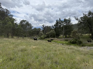 Property "Wylua" Trevallyn Road, UPPER HORTON NSW 2347 IMAGE 0