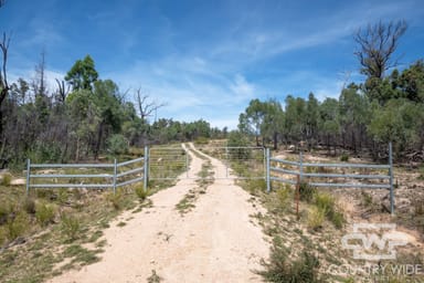 Property 101, 1768 Silent Grove Road, TORRINGTON NSW 2371 IMAGE 0