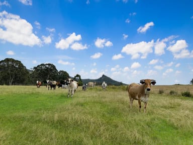 Property 18108 Clarence Way, Urbenville NSW 2475 IMAGE 0