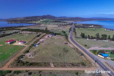 Property 209-221 Arthur Highway, DUNALLEY TAS 7177 IMAGE 0