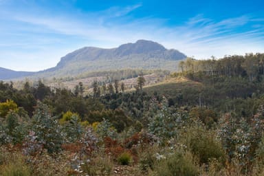 Property Lot 1 Dilgers Hill Road, MATHINNA TAS 7214 IMAGE 0