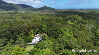 Property 134 Ronald Road Forest Creek, DAINTREE QLD 4873 IMAGE 0