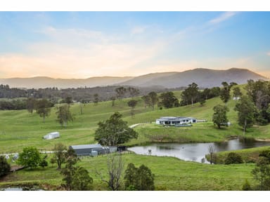 Property 75 Grundon Road, Conondale QLD 4552 IMAGE 0