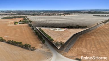 Property 207 Eckert Road, Belvidere SA 5255 IMAGE 0