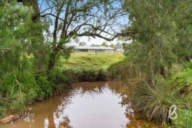 Property 1401 Bridgman Road, Singleton NSW 2330 IMAGE 0