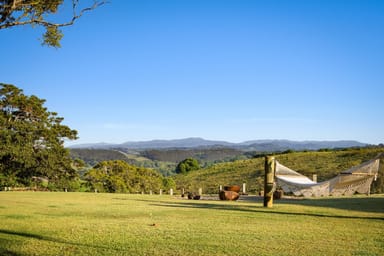 Property 1145 Friday Hut Road, Binna Burra NSW 2479 IMAGE 0