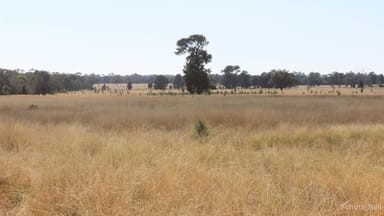 Property 260 Dilladerry Road, Tomingley NSW 2869 IMAGE 0