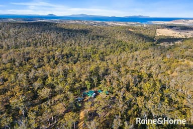 Property 210 & 214 Bresnehans Road, Little Swanport TAS 7190 IMAGE 0