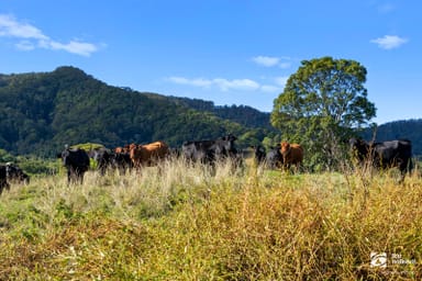 Property 201 Smiths Creek Road, SMITHS CREEK NSW 2484 IMAGE 0